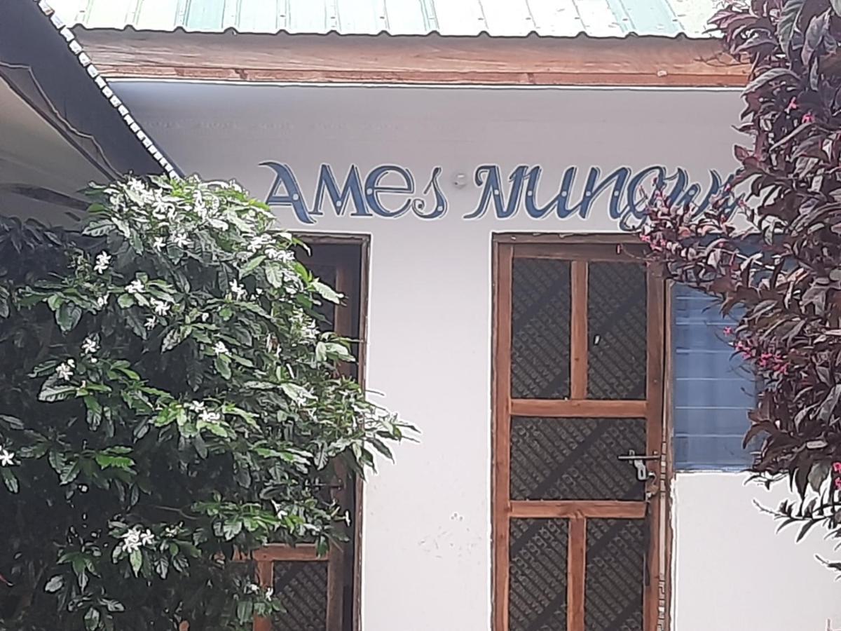Ames Nungwi Bed & Breakfast ภายนอก รูปภาพ